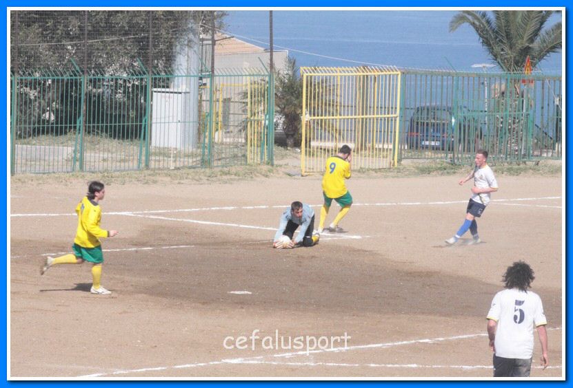 130406 delfini 014_tn.jpg